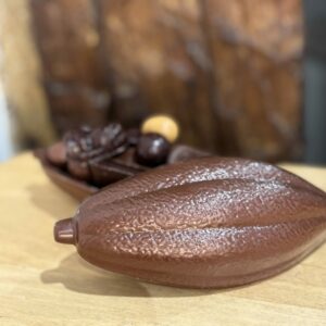 Moulage cabosse garnie (click & collect)