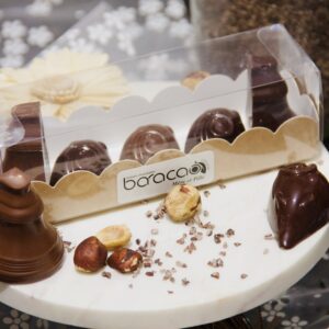 Réglette sujets pralinés